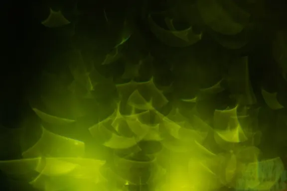 Billion Casino Soporte